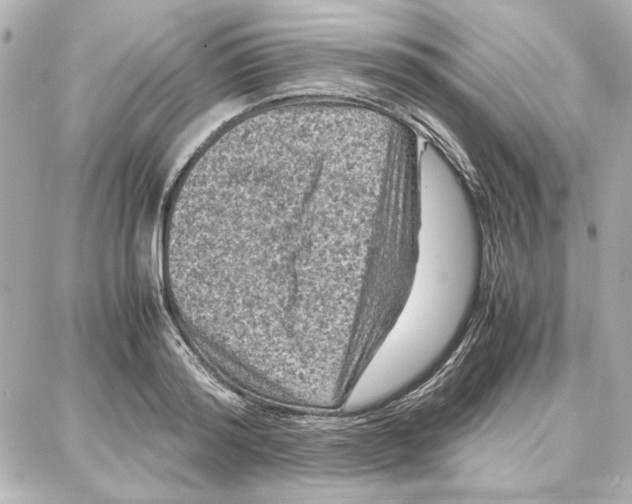 X0000087670796200705251617