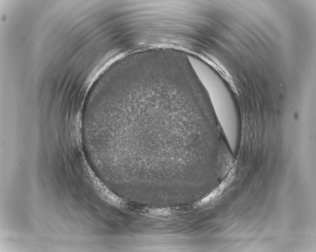 X0000087670798200705251617