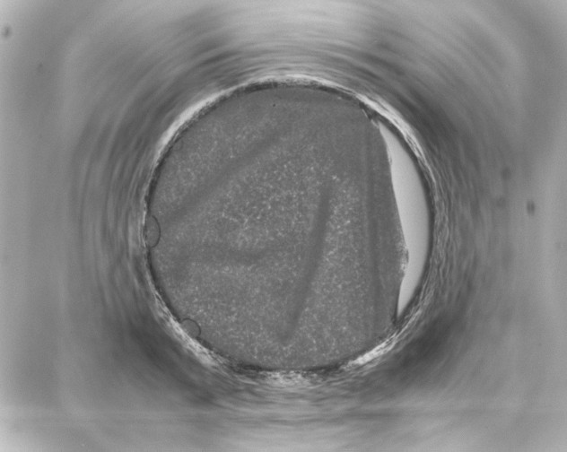 X0000087670799200705251617