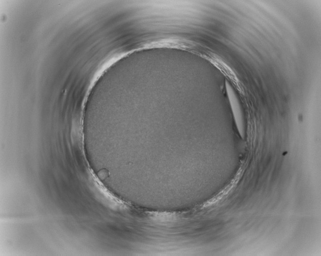 X0000087670800200705251617