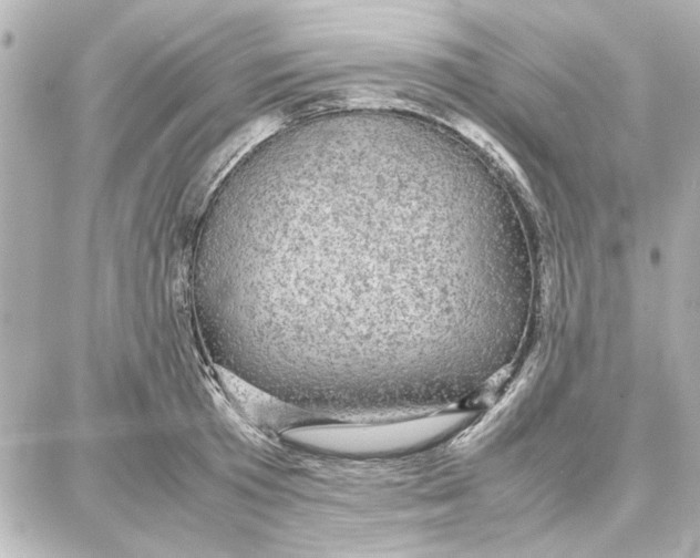 X0000087670801200705251617