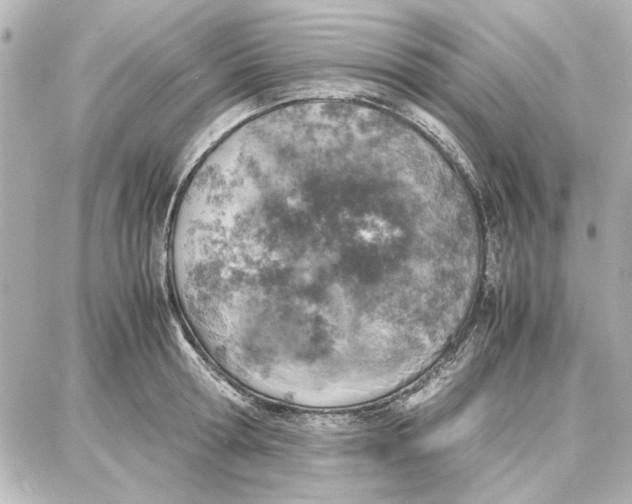 X0000087670802200705251617