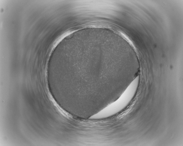 X0000087670803200705251617