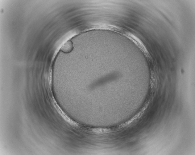 X0000087670804200705251617