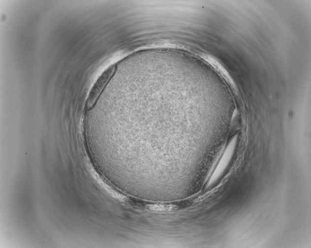 X0000087670805200705251617