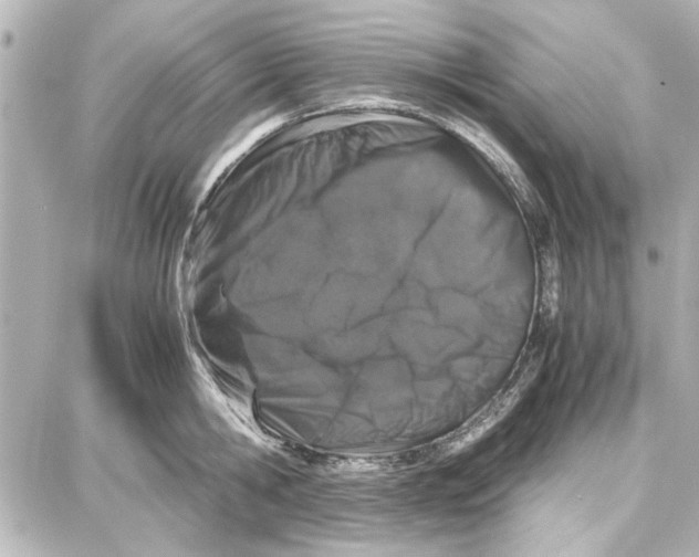 X0000087670806200705251617