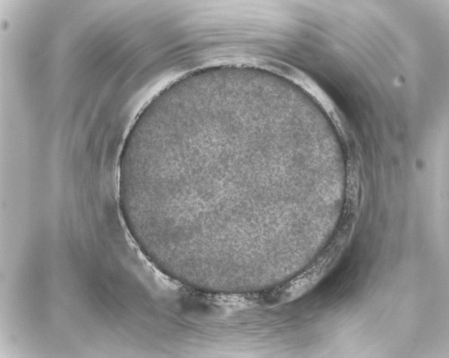 X0000087670807200705251617