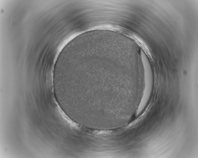 X0000087670808200705251617