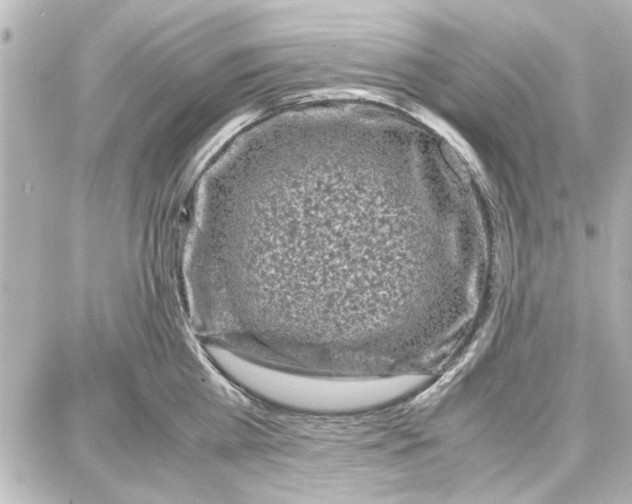 X0000087670809200705251617