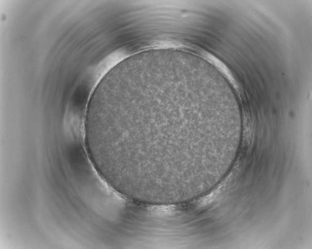 X0000087670810200705251617