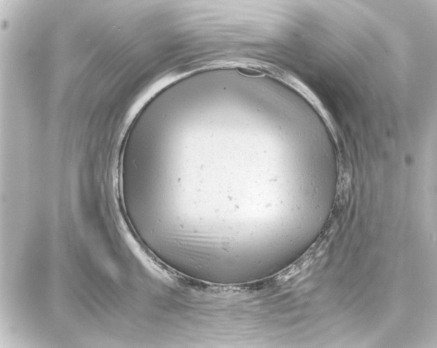 X0000087670811200705251617