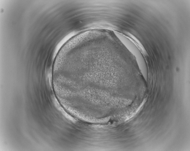 X0000087670812200705251617