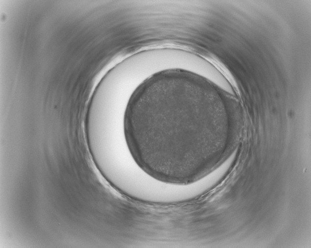 X0000087670813200705251617