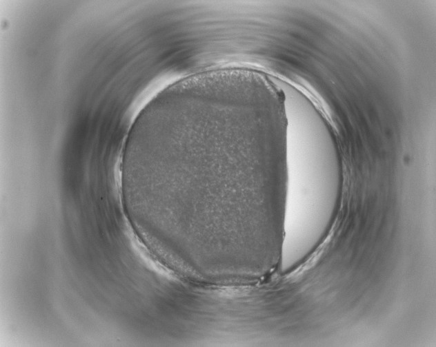 X0000087670814200705251617