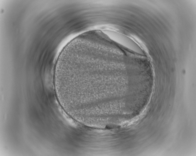 X0000087670816200705251617