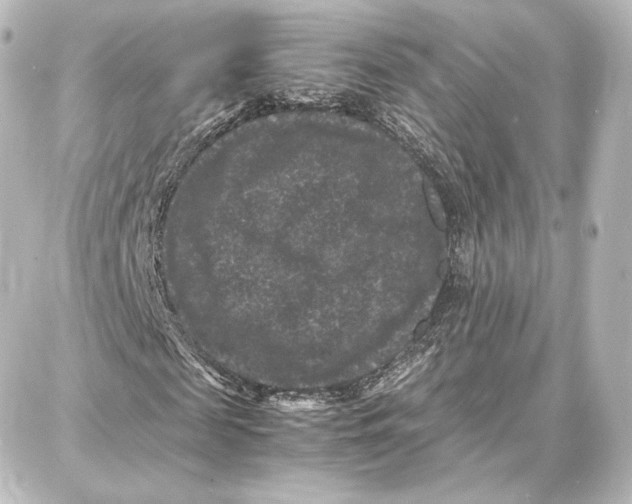 X0000087670817200705251616