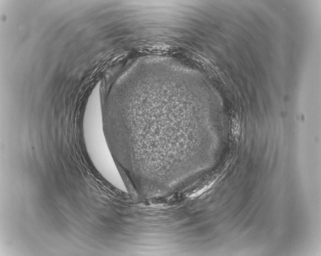 X0000087670818200705251616