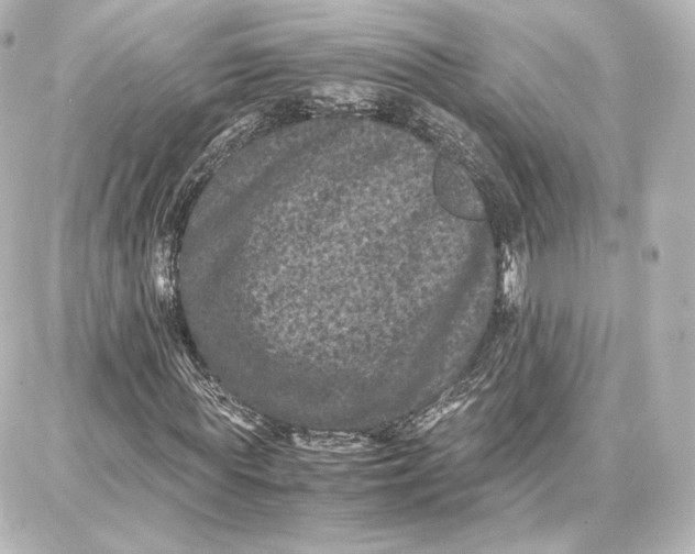 X0000087670819200705251616