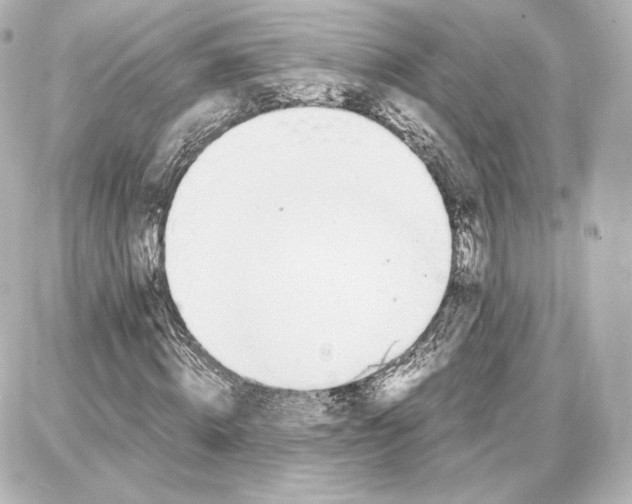 X0000087670820200705251616