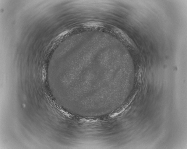 X0000087670821200705251616