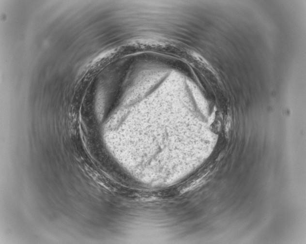 X0000087670822200705251616