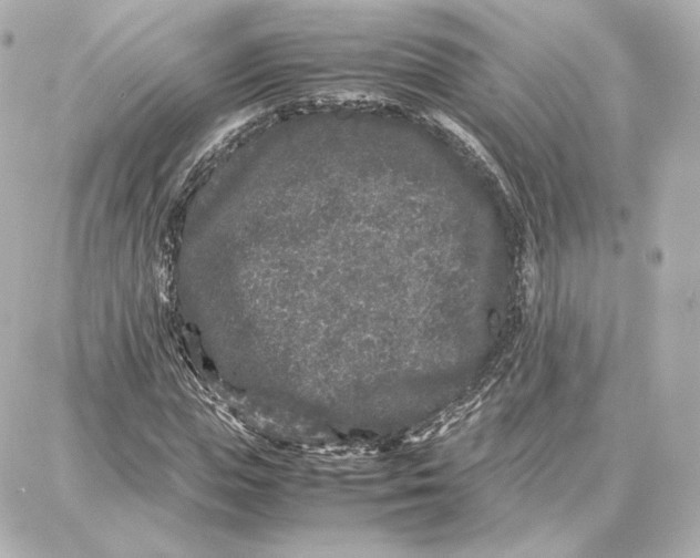 X0000087670823200705251616