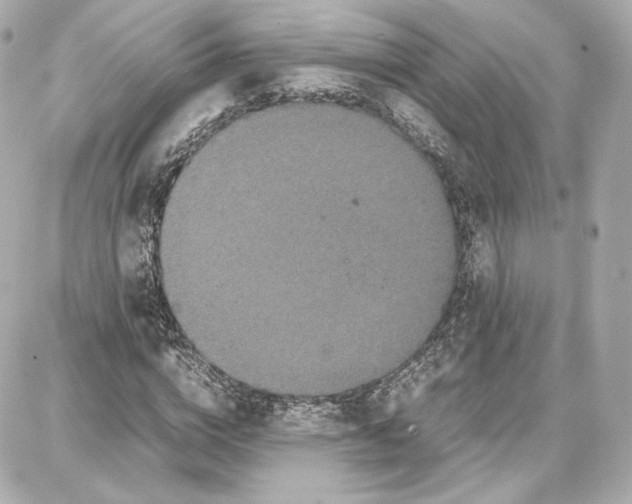 X0000087670824200705251616