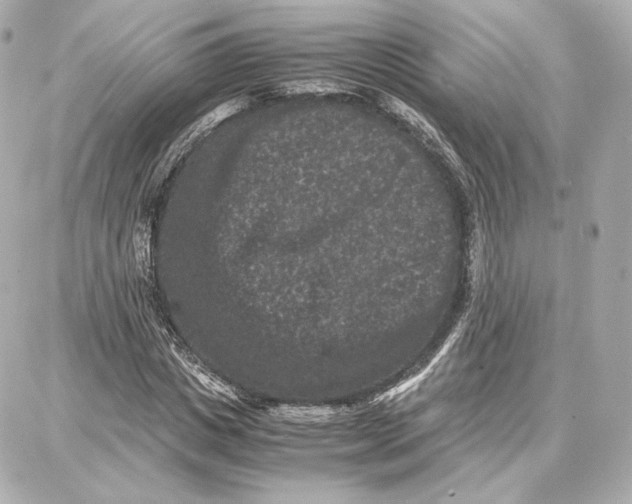 X0000087670825200705251616