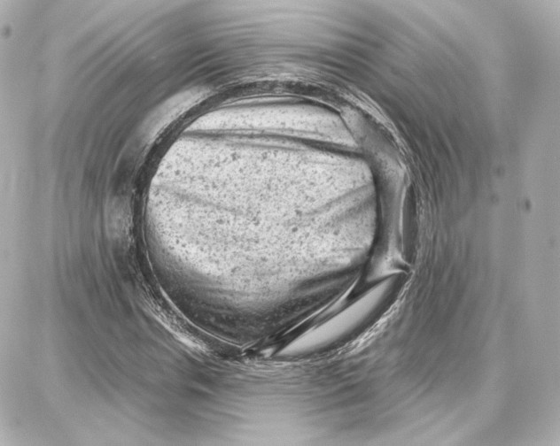 X0000087670826200705251616