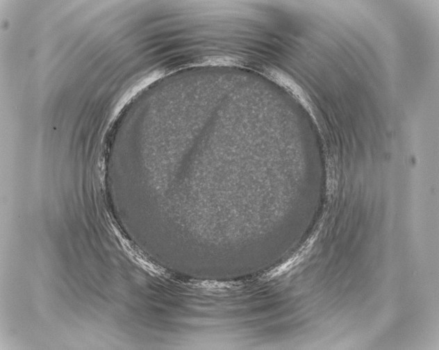 X0000087670827200705251616