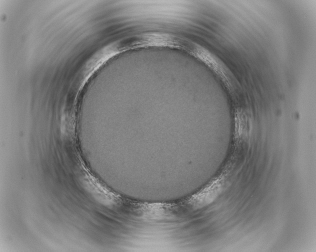 X0000087670828200705251616