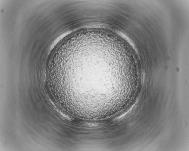 X0000087670829200705251616