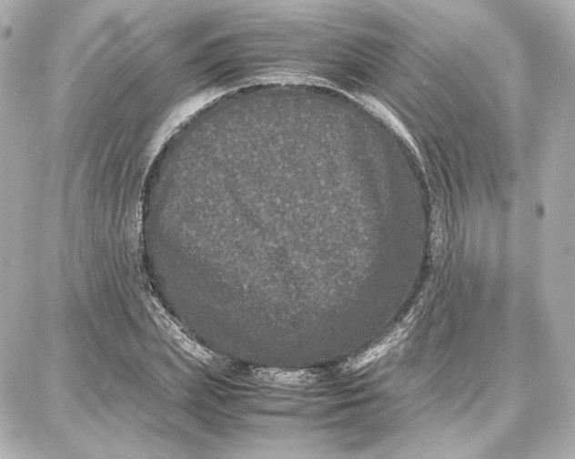 X0000087670831200705251617