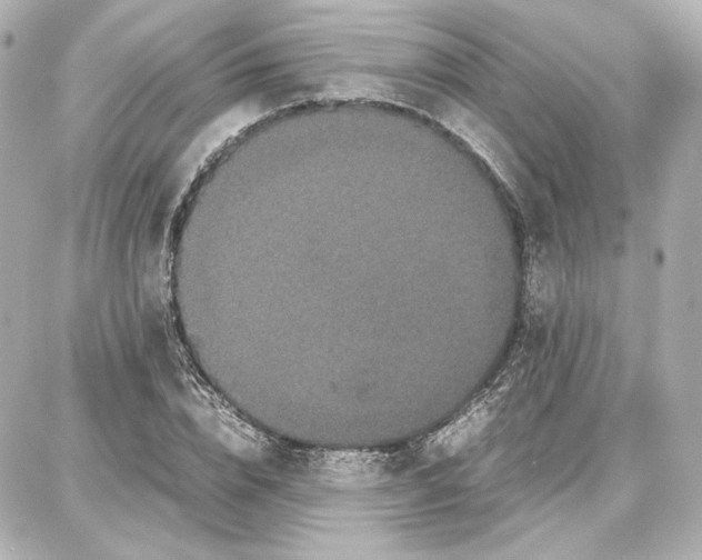 X0000087670832200705251617