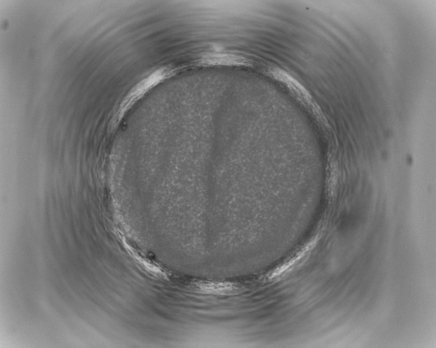 X0000087670833200705251617