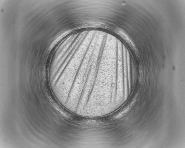 X0000087670834200705251617