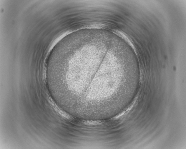 X0000087670835200705251617