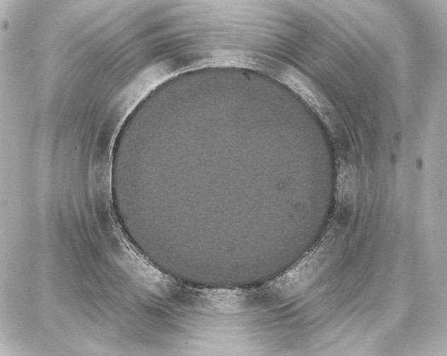 X0000087670836200705251617