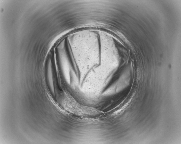 X0000087670838200705251617