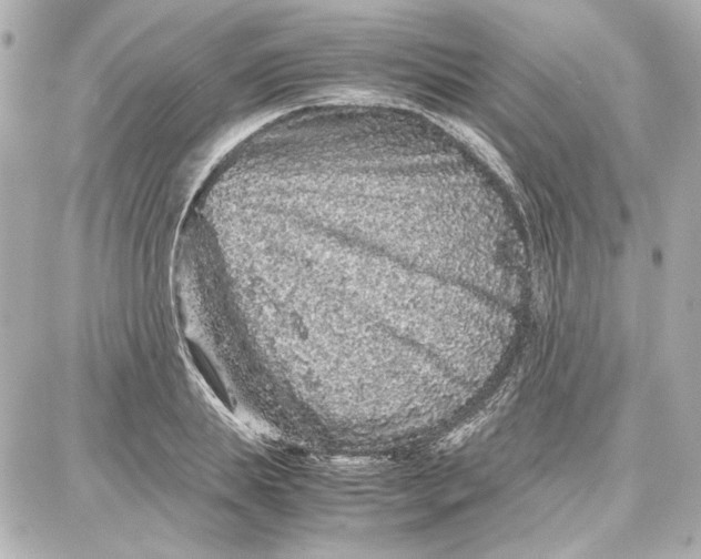 X0000087670839200705251617