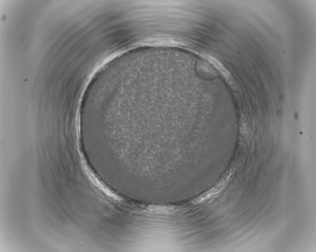 X0000087670840200705251617