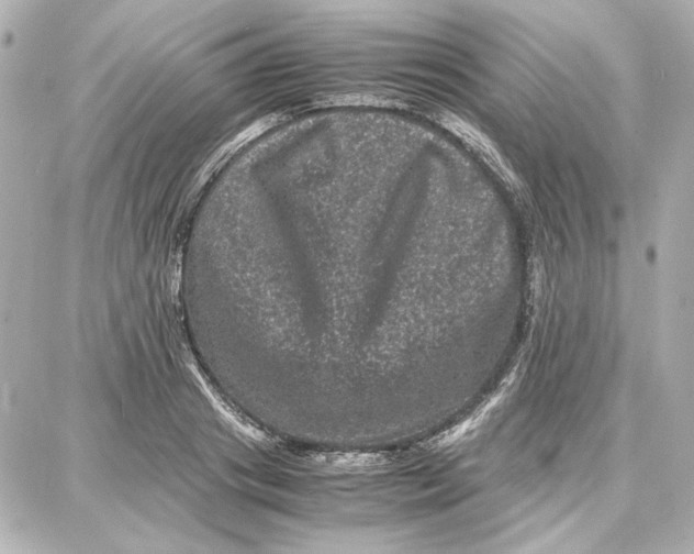 X0000087670841200705251617