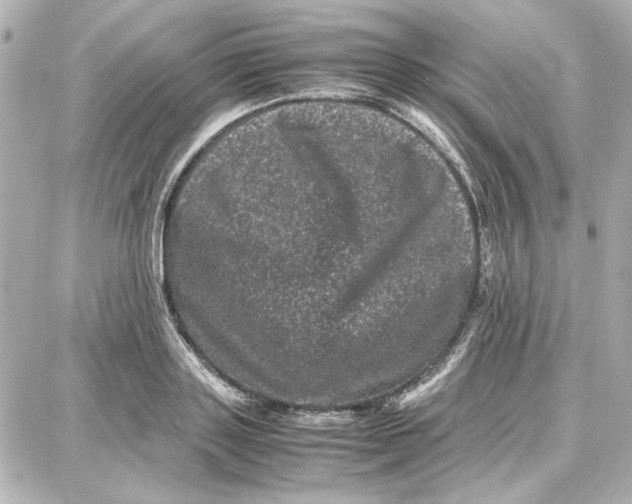 X0000087670843200705251617