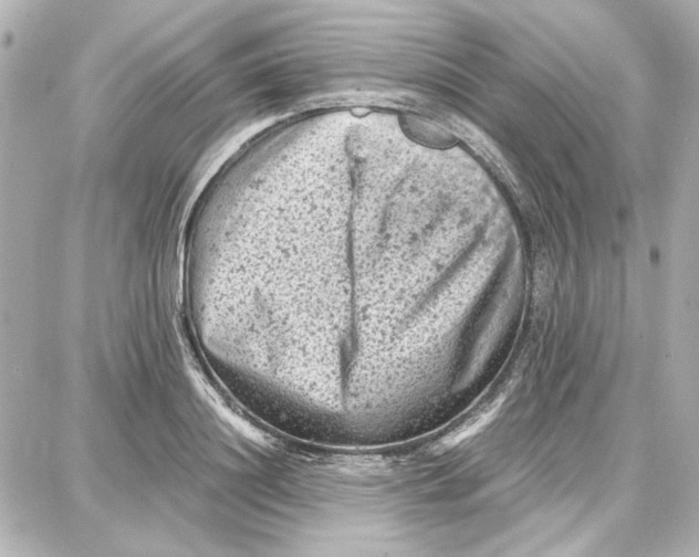 X0000087670844200705251617