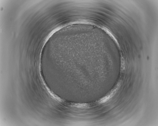 X0000087670845200705251617