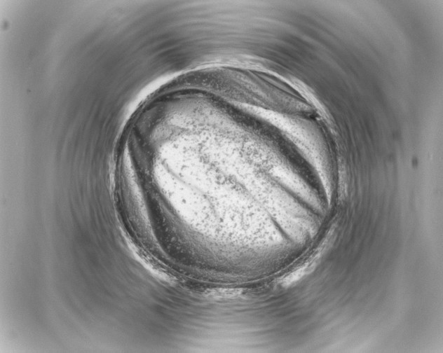 X0000087670846200705251617