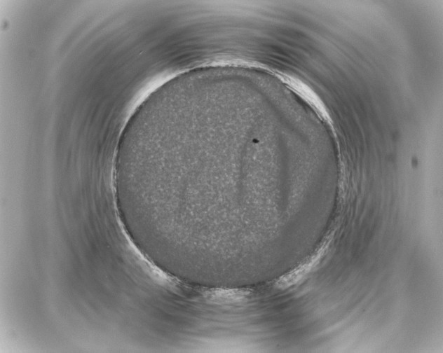 X0000087670847200705251617