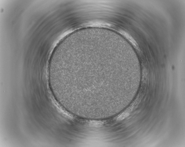 X0000087670848200705251617