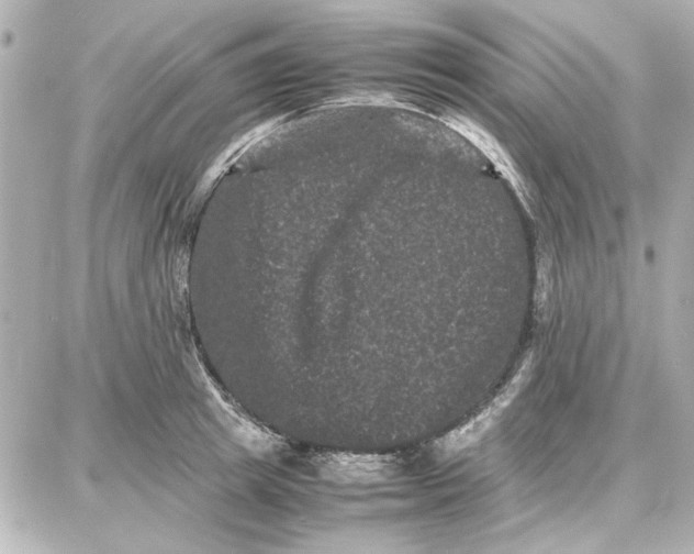 X0000087670849200705251617