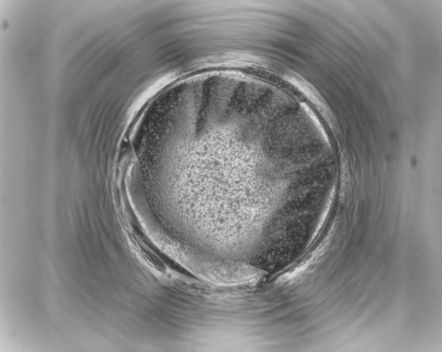 X0000087670850200705251617